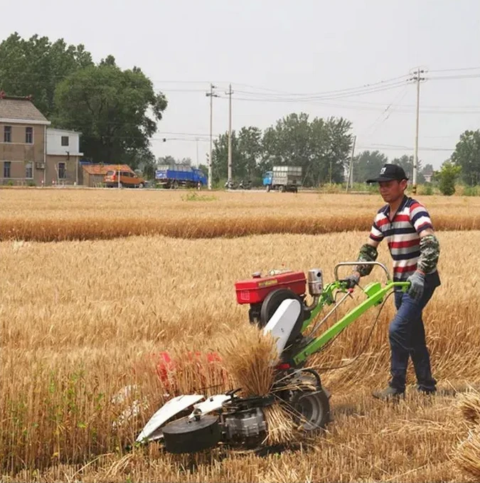 The game with our new additions!